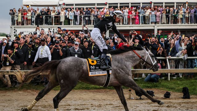 Seize the Grey wins the Preakness for D. Wayne Lukas and ends Mystik Dan’s Triple Crown bid
