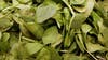 Fresh spinach products recalled after testing positive for listeria