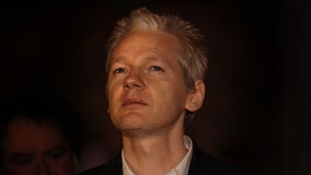 WikiLeaks founder Julian Assange to plead guilty to Espionage Act violation