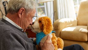 These adorable, animatronic pets are helping seniors combat loneliness
