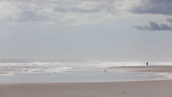 Shark bites teenager's leg in attack at North Carolina beach