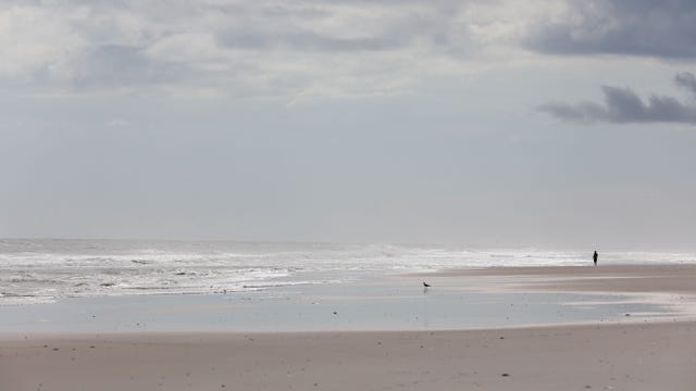 Shark bites teenager's leg in attack at North Carolina beach