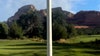 Enormous spider startles golfer in Arizona