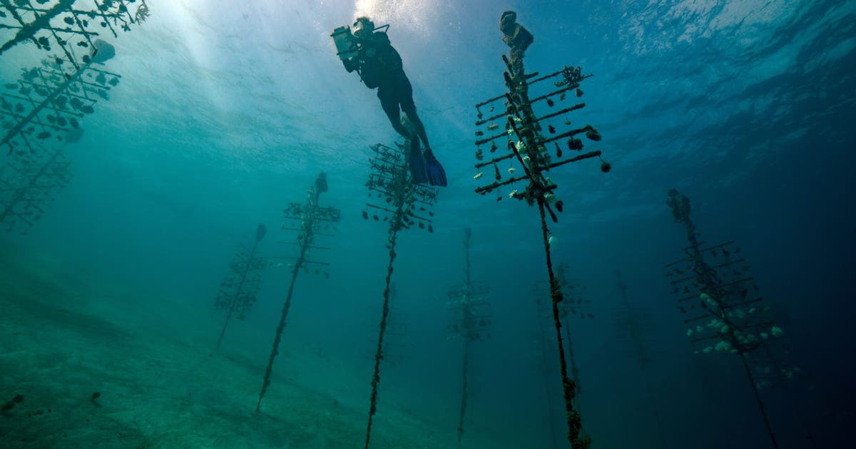 Dark oxygen' discovered deep in Pacific Ocean questions origins of