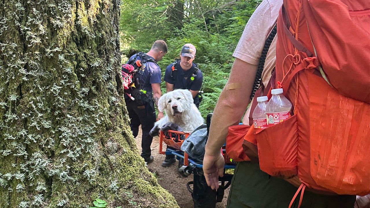 Firefighters carry 160pound dog down Oregon mountain after pup is injured on trail FOX 29