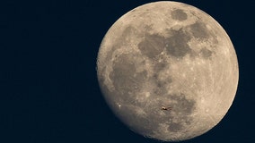 Moon caves could house future astronauts, scientists say