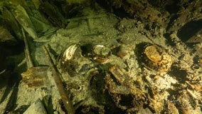 Divers discover 19th century shipwreck containing historical artifacts in Baltic Sea