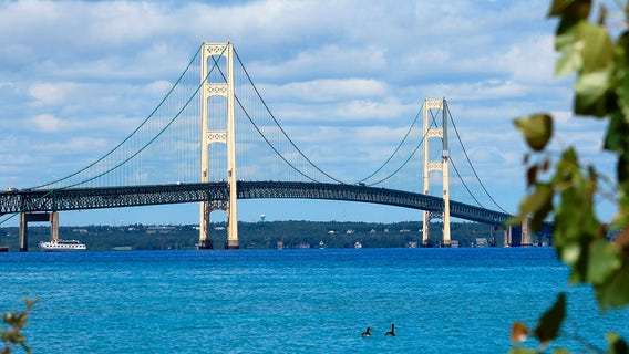 Swing state analysis: Top issues for Michigan voters in the 2024 presidential election