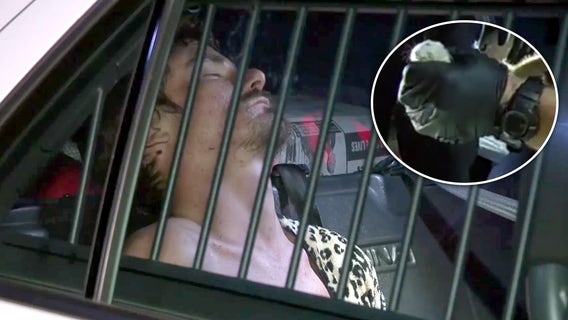 Multiple hamsters found in burglary suspect's pants