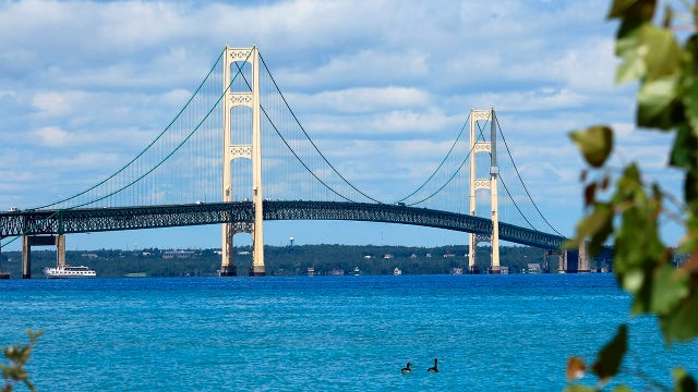 Swing state analysis: Top issues for Michigan voters in the 2024 presidential election