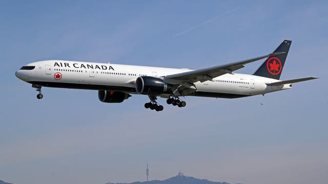 Air Canada flight canceled after flight attendant meltdown caught on video