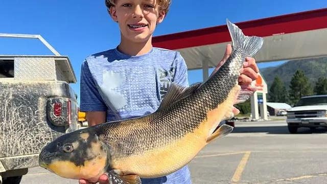 12-year-old reels in record-breaking fish from northwestern Montana reservoir