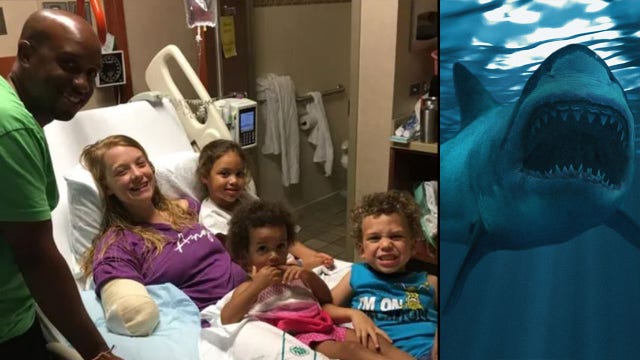 Shark Watch: American on Bahamas vacation yanks shark's mouth open and 'arm just flies out'