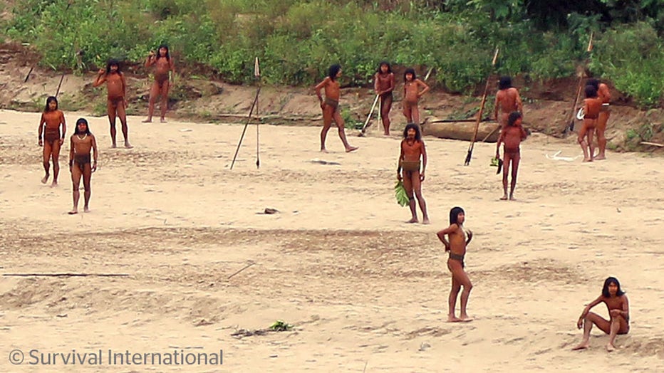 A photo shared by the indigenous rights group Survival International shows dozens of people from the Mashco Piro tribe recently seen on a riverbank near Monte Salvado — a village of the Yine people – in southeast Peru. Credit: Survival International