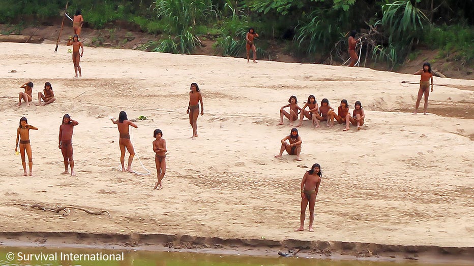 A photo shared by the indigenous rights group Survival International shows dozens of people from the Mashco Piro tribe recently seen on a riverbank near Monte Salvado — a village of the Yine people – in southeast Peru. Credit: Survival International