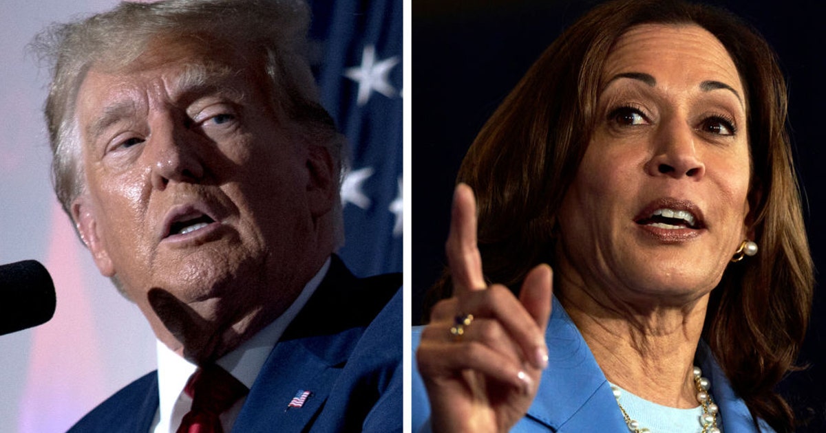 Where Trump, Harris stand on the economy, wages, and taxes | FOX 5 New York