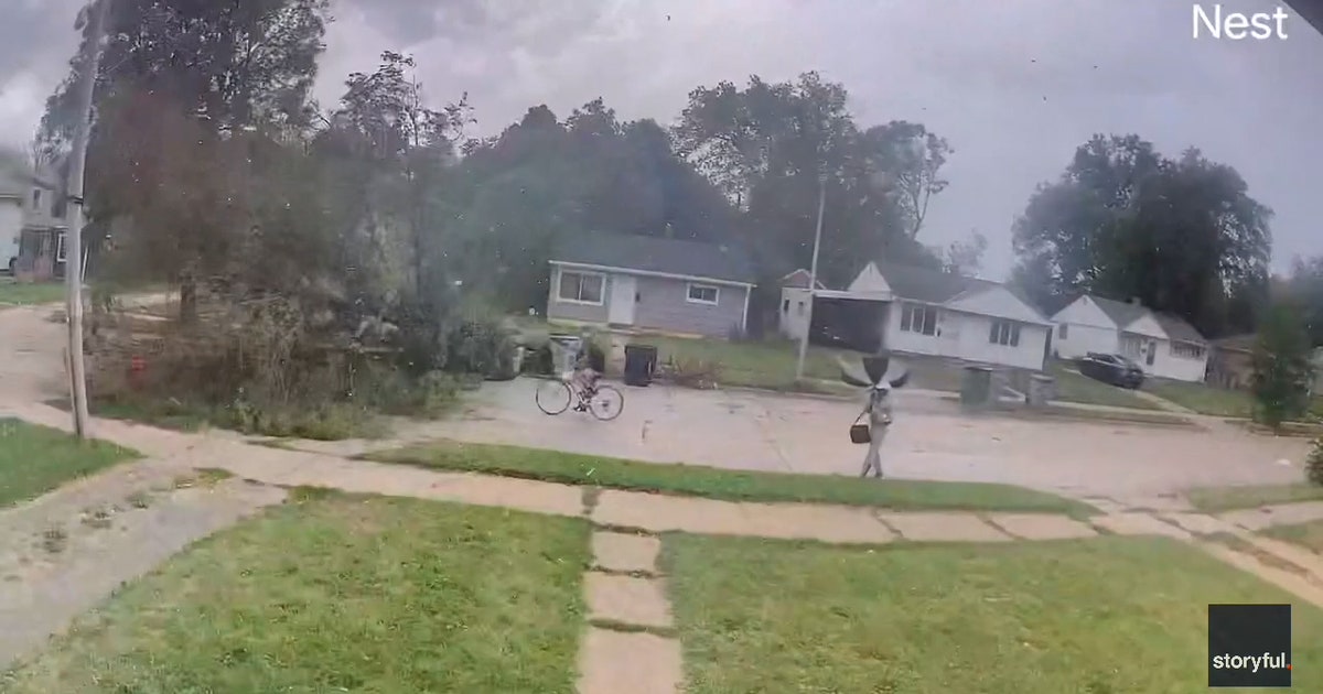 Shocking video captures moment falling tree narrowly misses bicyclist ...