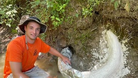 Man in Mississippi discovers rare mammoth tusk dating back to Ice Age