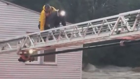 Watch: Connecticut Firefighters rescue 19 people, dog from 'life-threatening' floods