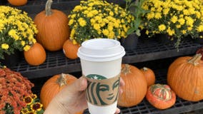 Is it pumpkin season yet? These are the fall drinks, products already in stores