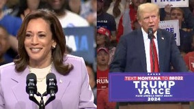 Americans give Harris advantage on honesty and discipline, Trump slightly stronger on immigration: poll