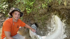 Man in Mississippi discovers rare mammoth tusk dating back to Ice Age