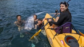 ‘Doomsday fish’ found dead off coast of Southern California