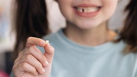 Here’s how much money the Tooth Fairy gives on average per tooth