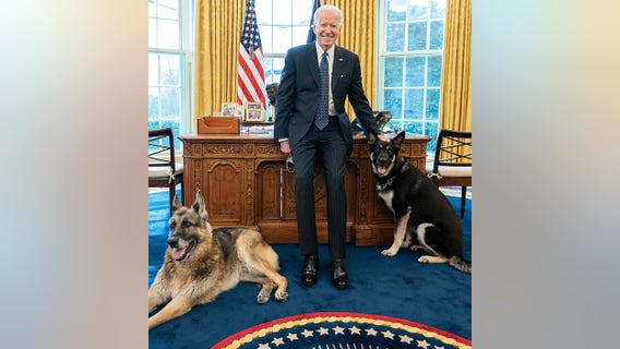 Pets in the White House: From Rebecca the Raccoon to Billy Possum