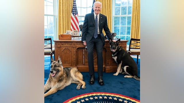 Pets in the White House: From Rebecca the Raccoon to Billy Possum