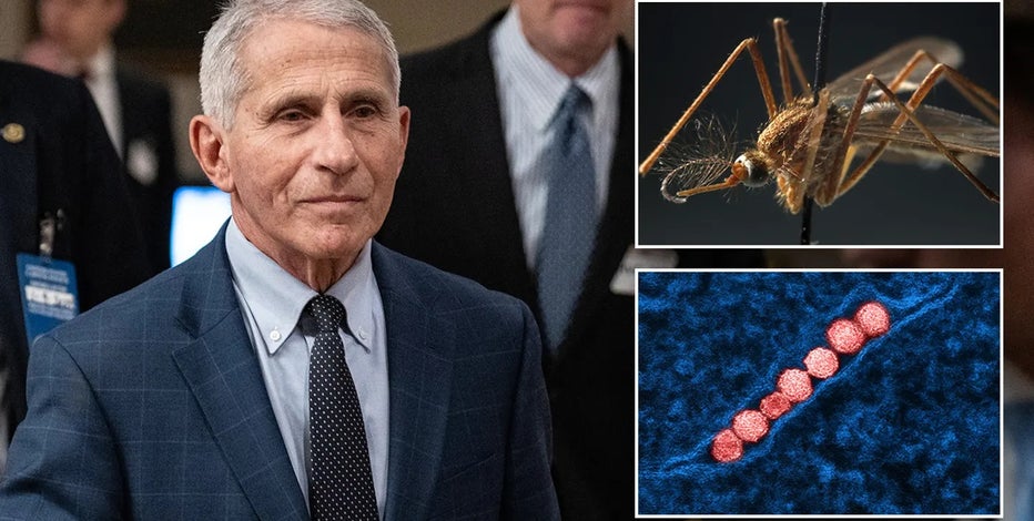 Fauci hospitalized after testing positive for West Nile virus, now recovering at home: report