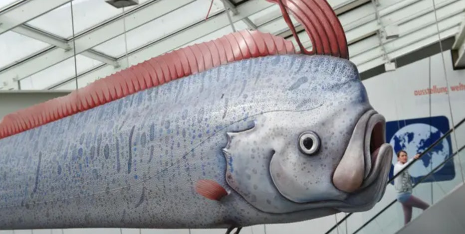 ‘Doomsday fish’ found dead off coast of Southern California