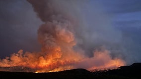 Man allegedly trying to cremate his dog sparks Colorado wildfire, officials say