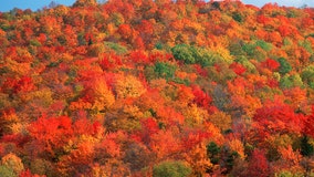 Leaf color tracker: Here’s when fall foliage will peak across US in 2024