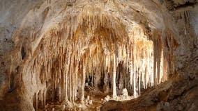 National Park Service blames bag of Cheetos for disrupting entire Carlsbad Caverns ecosystem