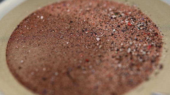 More evidence found of microplastics infiltrating human brain, study says