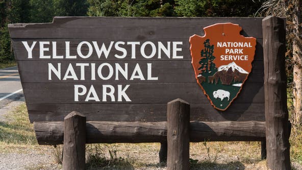 Yellowstone visitor suffers thermal burns after falling into scalding water