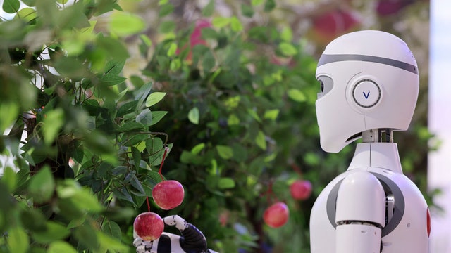 AI: Job killer or catalyst for change? How technology is transforming employment