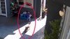 Terrifying video shows coyote chasing little girl through backyard