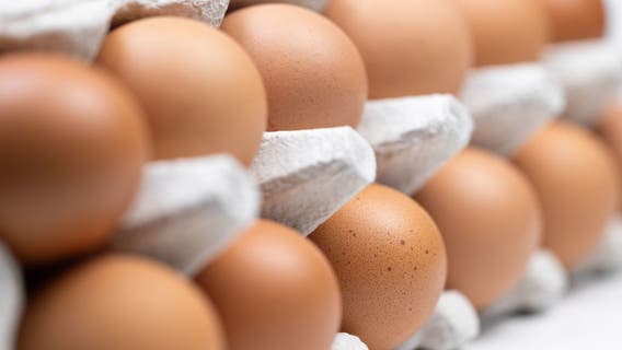 Egg recall linked to salmonella upgraded to highest possible risk by FDA