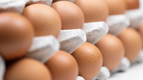 Why are egg prices soaring? Here's what experts say