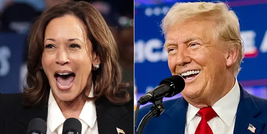 2024 presidential election predictions: Here's what experts have said