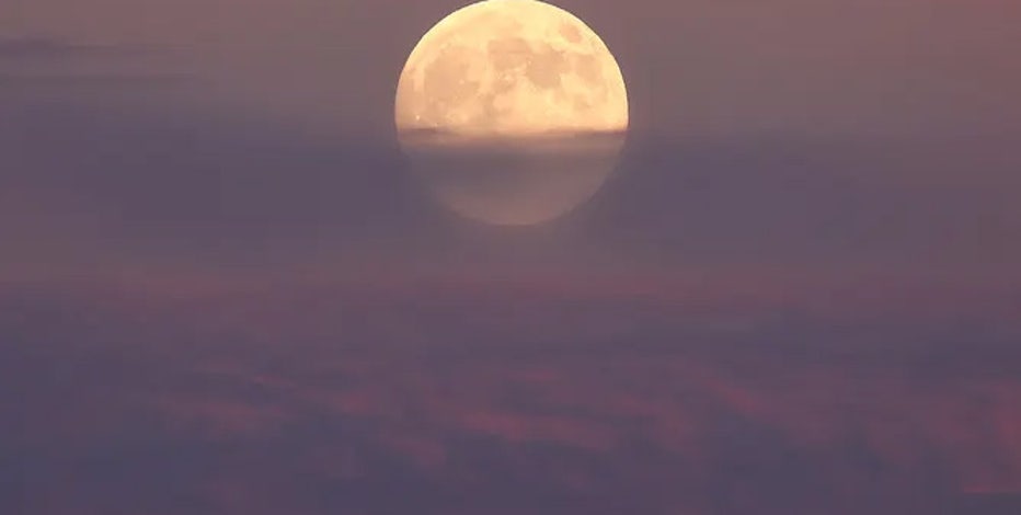 gettyimages-2178810330-copy.