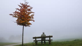 Loneliness linked to increased risk of dementia, cognitive decline: study