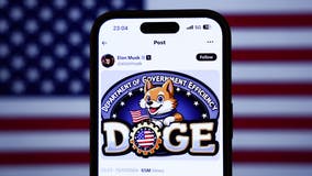 DOGE reportedly considers mobile tax-filing app to simplify US tax process