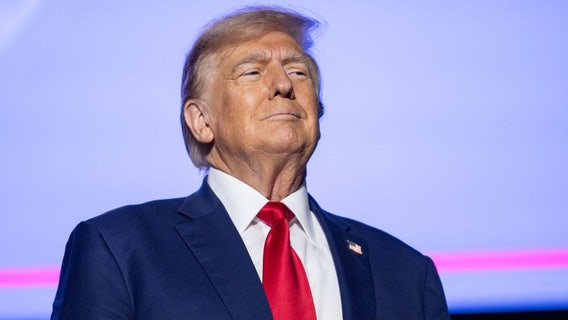 Trump's cabinet nominations: Who's picked and what's still open?