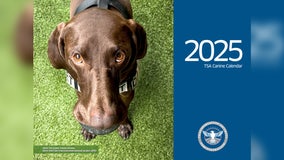 2025 TSA Canine Calendar: Meet the dogs