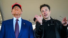 Musk clashes with MAGA over H-1B visas: Where does Trump stand?