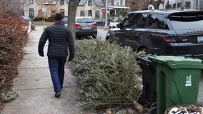 These are the ways you can reduce waste during the holidays