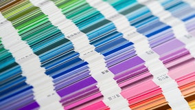 Pantone’s 2025 color of the year revealed